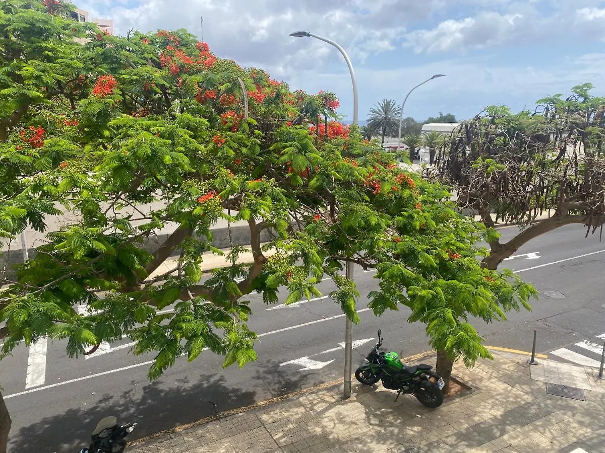 Διαμέρισμα Santa Cruz De Tenerife Toscal Ισπανία