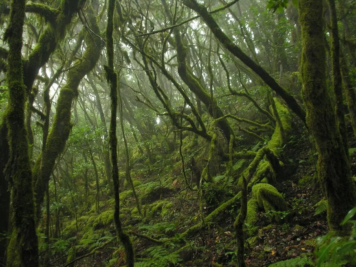 Santa Cruz De Tenerife Toscal 0*, Σάντα Κρουζ Τενερίφης
